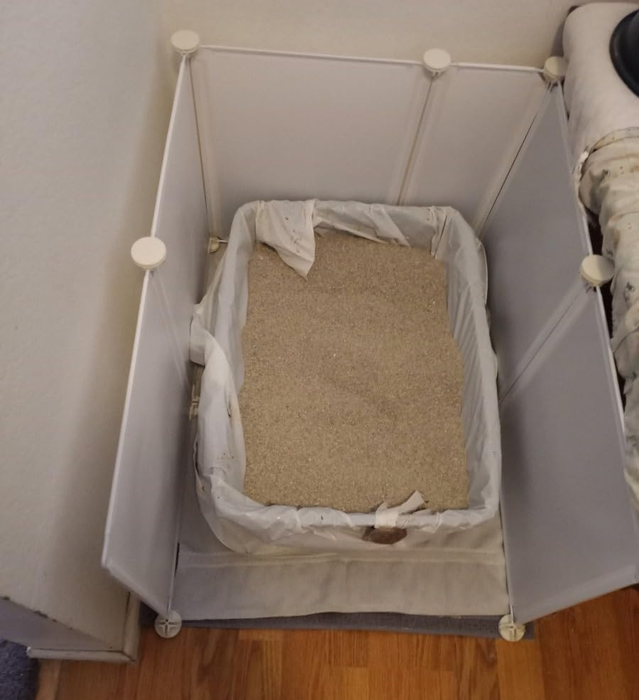 A reviewer's photo of the splash guard placed around a litter box.