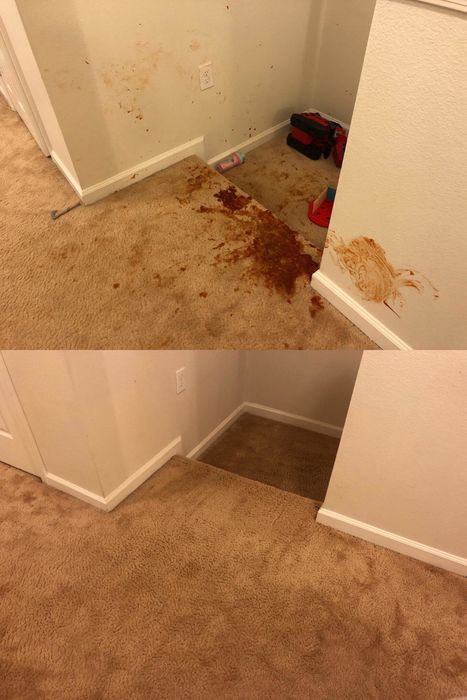 A review showing a carpeted stair landing before, covered in a large ketchup stain, and after, looking completely spotless as if the stain never existed.