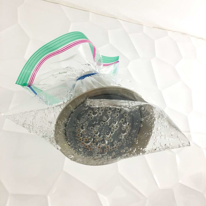 A plastic bag containing clear, bubbly liquid tied to a showerhead in my bathroom using a rubber band.