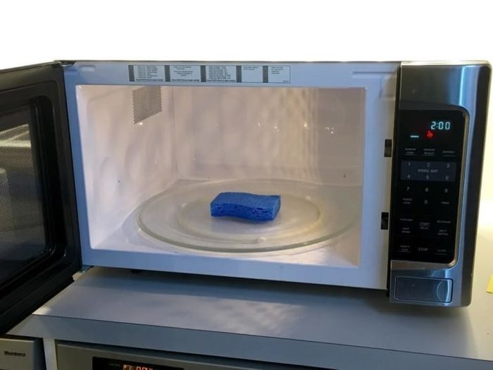 a sponge resting in a microwave