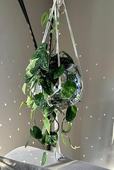 Disco ball planter housing a pothos plant for the ultimate funk and foliage combo.