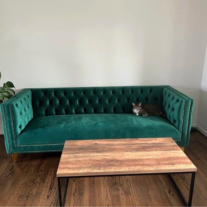 A reviewer’s photo of the green couch with a cat resting on it.