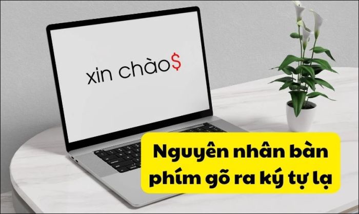 Nguyên nhân bàn phím MacBook gõ ra ký tự lạ là gì?