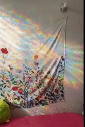 A reviewer showing the beautiful rainbows created on their wall from the refracting film.