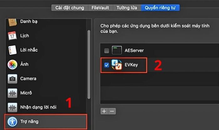 Chọn mục Trợ năng ở phía bên trái giao diện và tích vào ô Evkey.