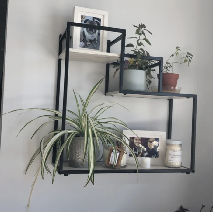 The plant stand hanging on a wall