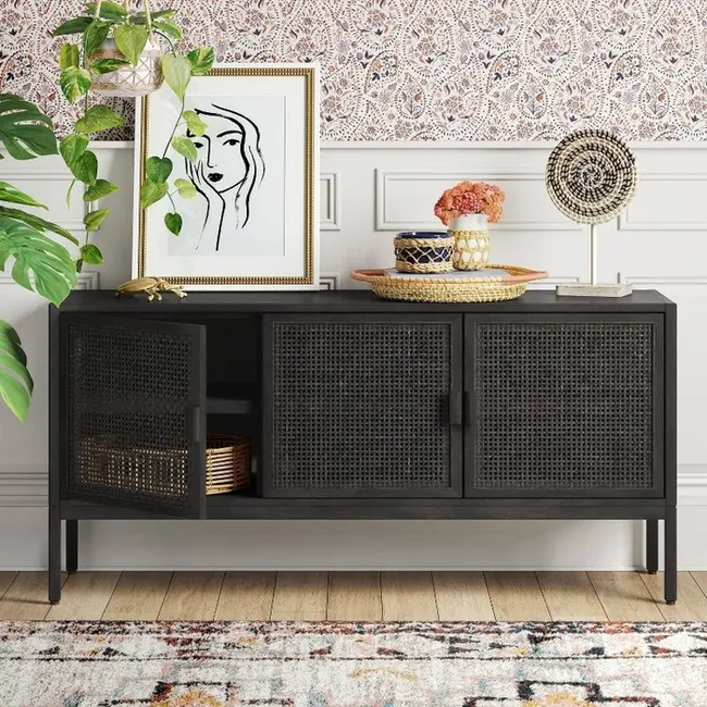 The black TV stand, holding artwork and plants.