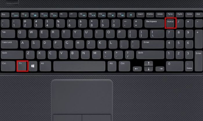 Bấm phím chữ abc... nhưng lại ra số 1,2,3...9 trên Laptop