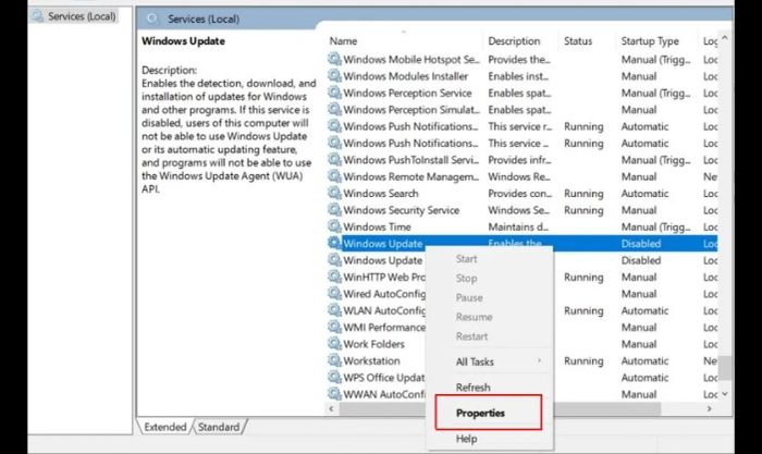 Tìm dịch vụ Windows Update, nhấn chuột phải và chọn Properties