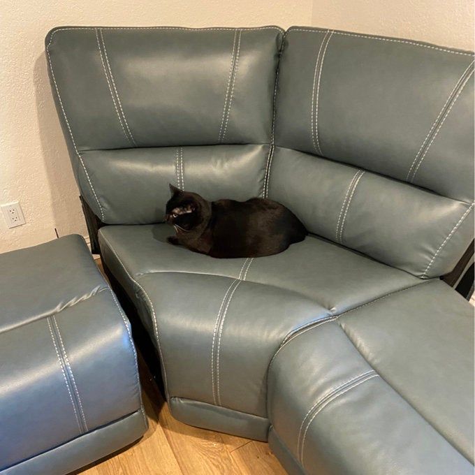 Reviewer close-up photo of a faux leather sectional with a black cat lounging on the couch