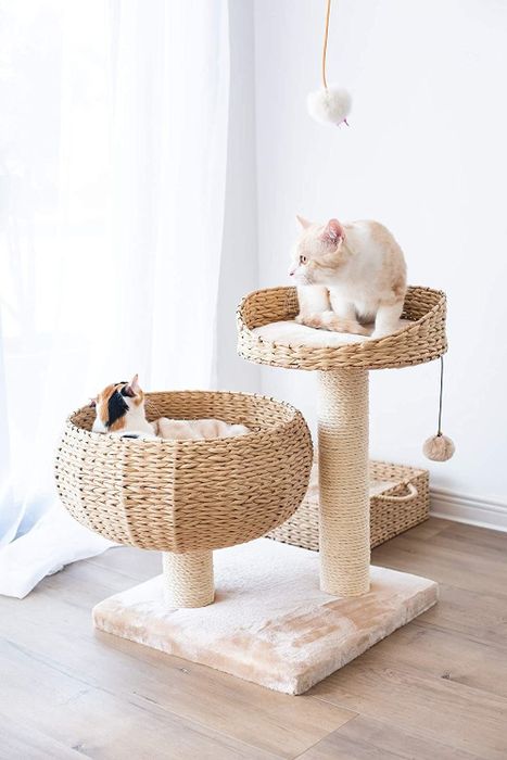 Two cats perched comfortably in separate bowls