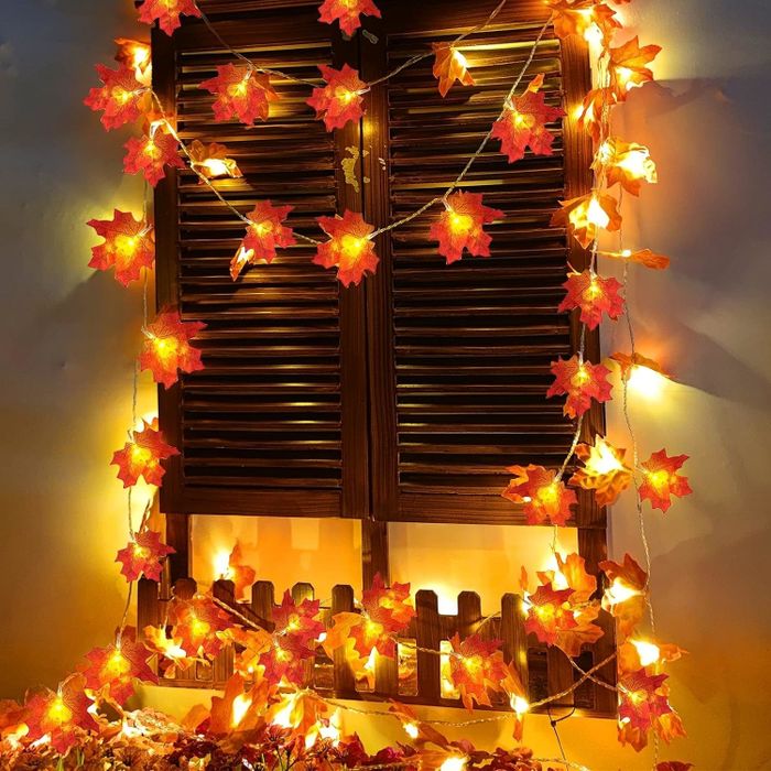 fairy lights draped over a window