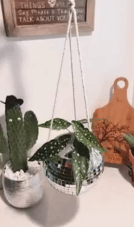A gif of the disco ball planter spinning and catching the light, sparkling in every direction.