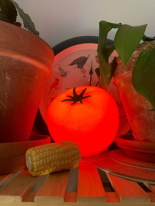 A tomato-shaped lamp glowing beside potted plants on a wooden shelf