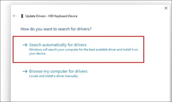 Chọn Search automatically for drivers để Windows tự động tìm kiếm và cài đặt driver mới nhất