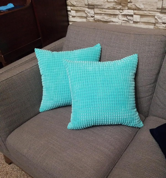 Two textured throw pillows resting on a gray couch, enhancing the cozy atmosphere of a living room.