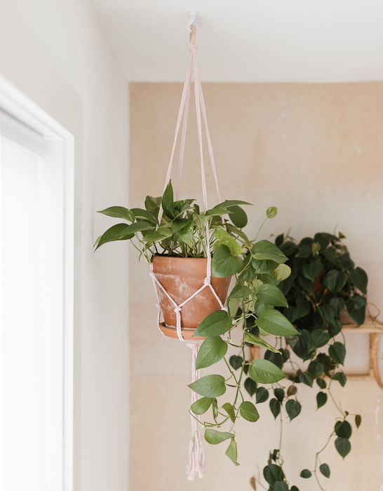 A pink macrame hanger used to suspend a potted plant from the ceiling