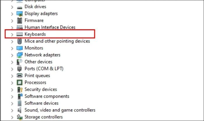 Trong Device Manager, tìm và mở rộng mục Keyboards