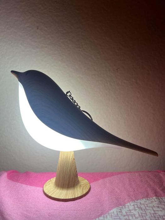 A bird-shaped lamp with a wooden base, casting a soft glow from within its body.