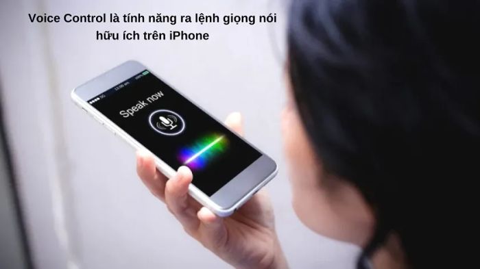 Voice Control là gì?
