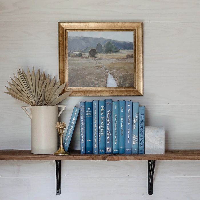A beautifully arranged set of blue and gold books resting on a bookshelf