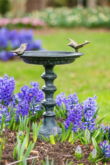 The birdbath placed in a peaceful garden environment