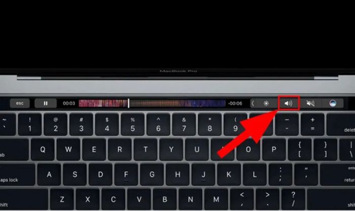 Sử dụng Touch Bar để điều chỉnh âm lượng