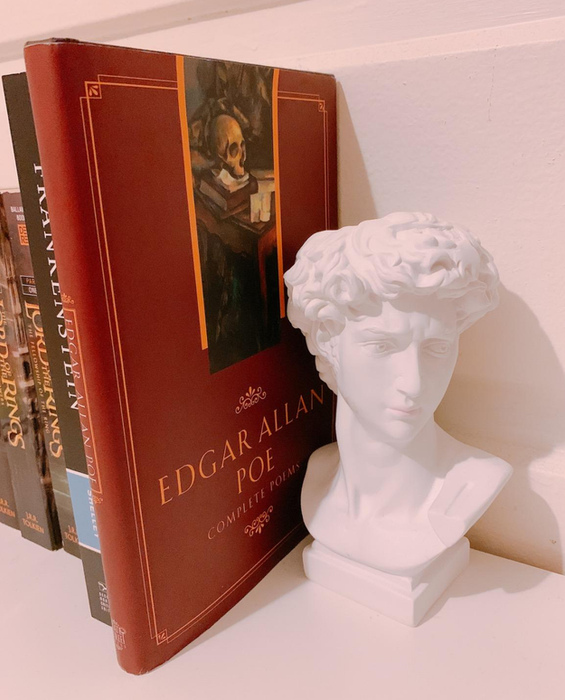 A reviewer showcasing their David bust as a bookend