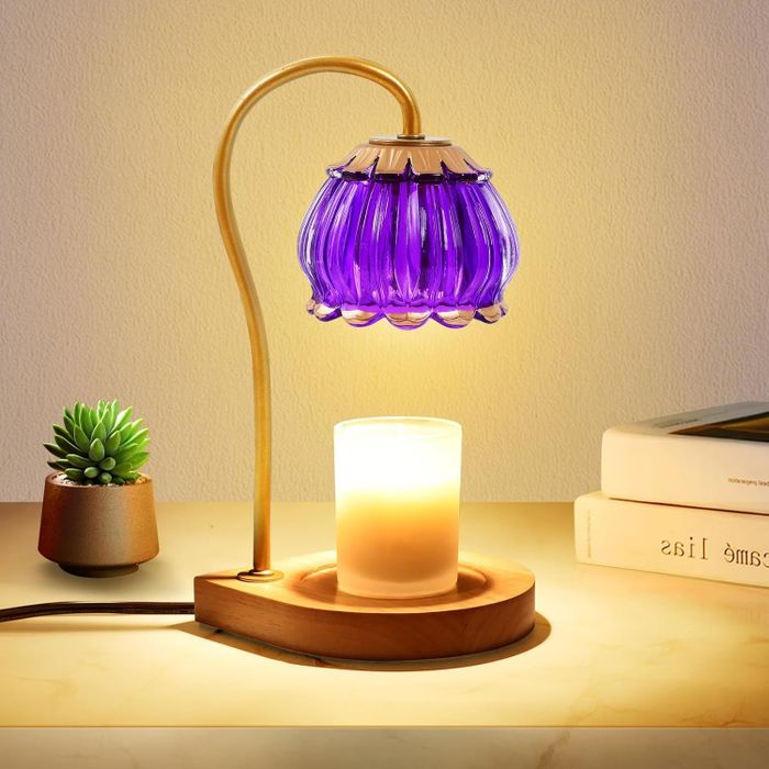A decorative lamp featuring a purple glass shade and a wooden base, positioned beside a small potted plant and a stack of books on a table.