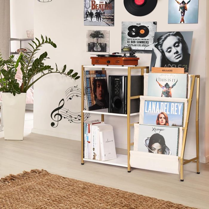 A stylish room featuring a vinyl record display shelf, turntable, and posters, ideal for music enthusiasts. A cozy rug and potted plant add a warm, homely vibe