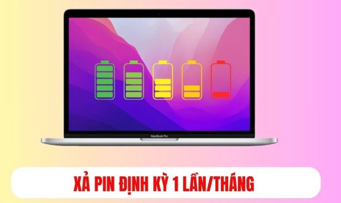 Xả pin định kỳ để bảo vệ tuổi thọ của pin