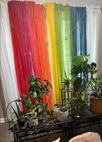 A variety of indoor plants displayed on stands, with colorful sheer curtains hanging in the background of the room.