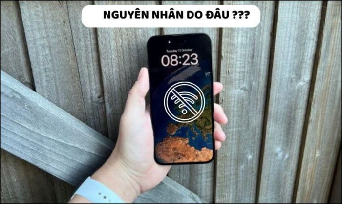Những nguyên nhân phổ biến khiến iPhone 11 Pro Max gặp vấn đề kết nối mạng yếu