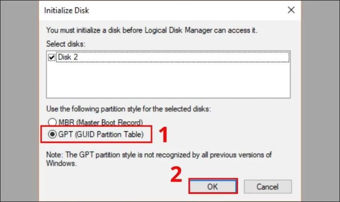 Chọn định dạng GPT rồi nhấn OK để tiếp tục