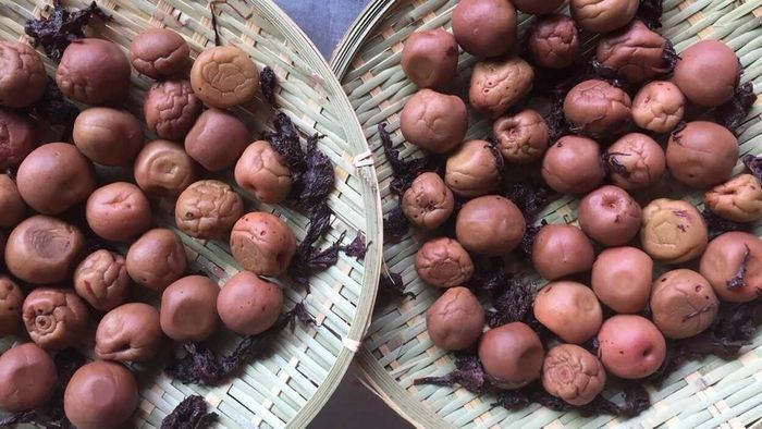 Two Techniques to Craft Umeboshi, the Pickled Plum You’ll Want to Incorporate Everywhere