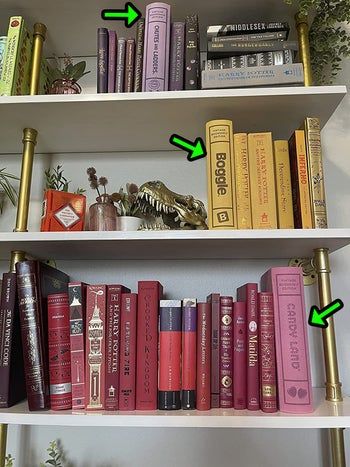 A reviewer’s bookshelf featuring three bookshelf games placed alongside actual books, blending in perfectly.