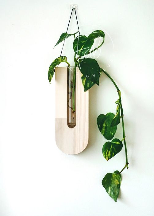 A close-up of the white propagation station