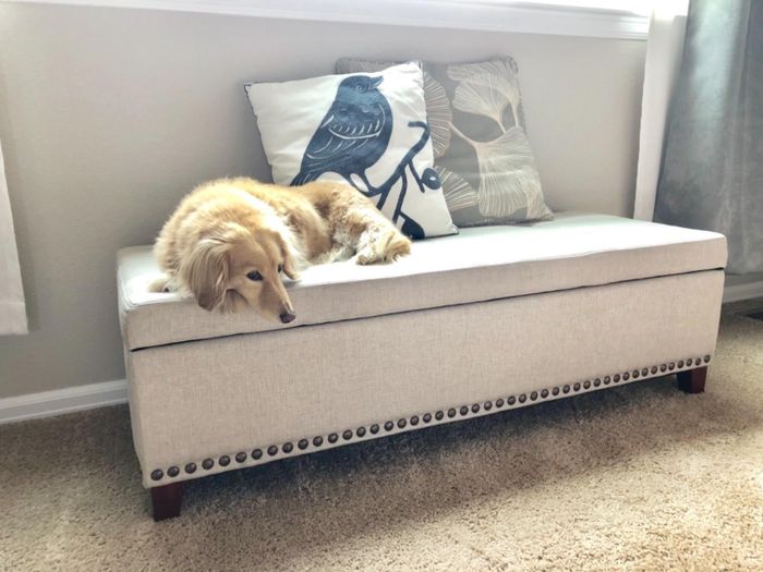 reviewer photo of a beige fabric storage ottoman with a long-haired dachshund lounging on it