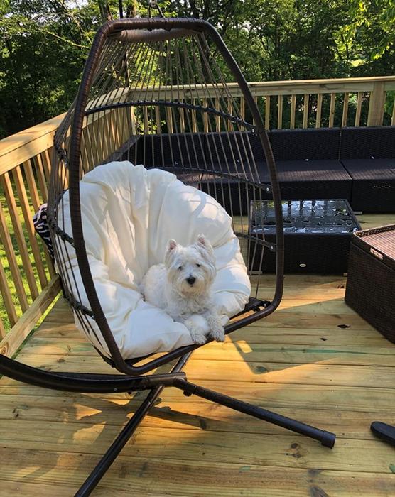 Reviewer photo of a white dog sitting in the black and white chair on a deck.