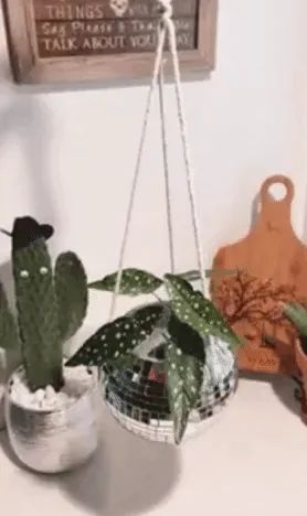 A gif showing the disco ball planter spinning and sparkling