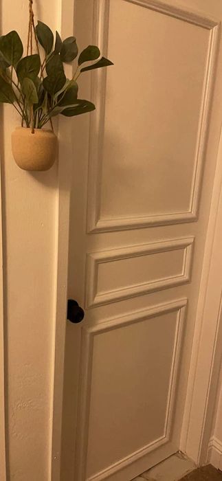 door adorned with rectangular faux molding