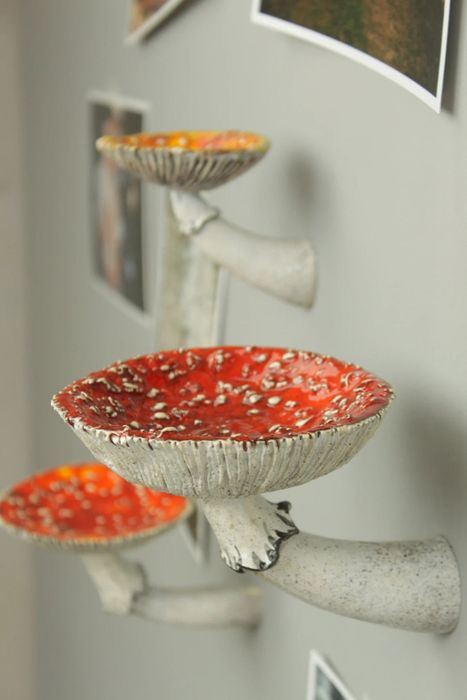 A close-up view of the red mushroom shelf