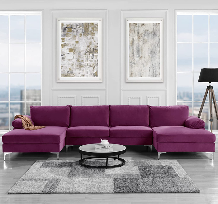 The elegant purple couch