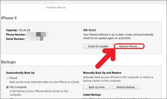 Tiếp theo, bạn chọn mục Restore iPhone để tiếp tục.