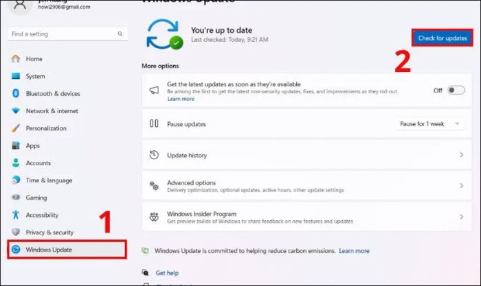 Nhấn vào Check for updates để kiểm tra các bản cập nhật mới nhất