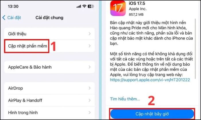 Chọn mục Cập nhật phần mềm rồi nhấn Cập nhật ngay bây giờ