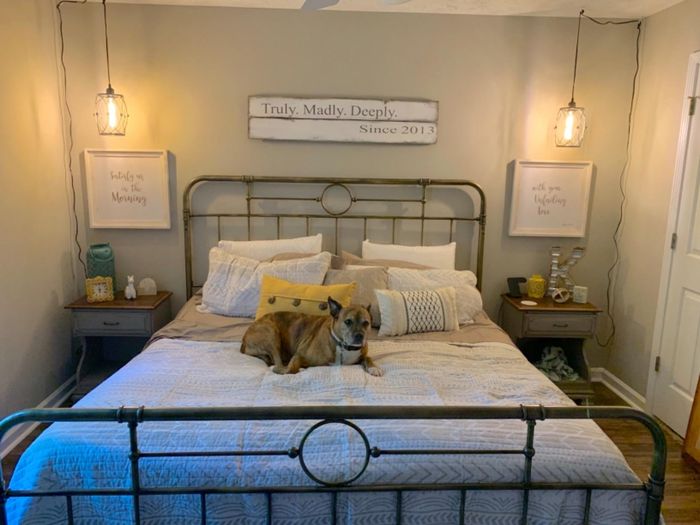 bed in another reviewer's room with a dog lounging on it