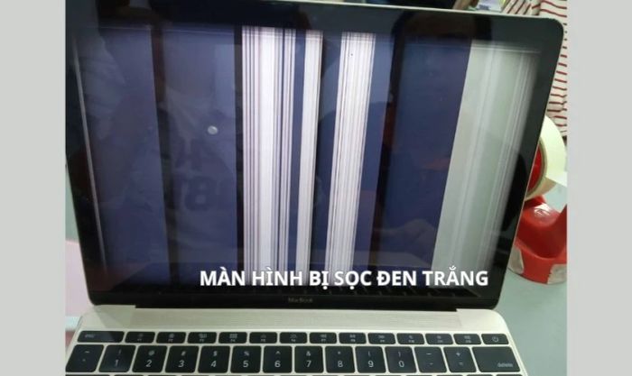 Màn hình laptop xuất hiện sọc đen trắng