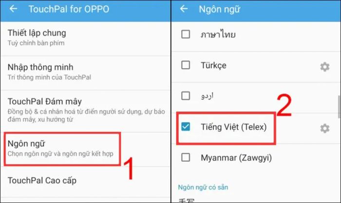 Chọn Ngôn ngữ và chọn kiểu gõ tiếng Việt