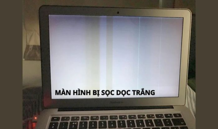Màn hình laptop xuất hiện sọc dọc màu trắng